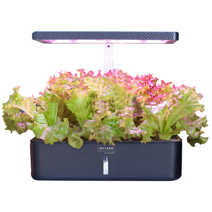 V219-GDSHYDBD12KA-74034-indoor-herb-garden