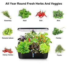 Load image into Gallery viewer, complete indoor hydroponic grow system + hydroponic systems for sale