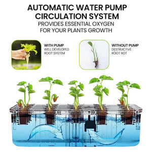 hydroponic plant + hydroponics plants