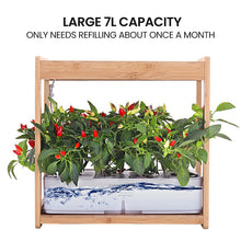 Load image into Gallery viewer, hydroponics at home + hydro setup + hydroponic growing