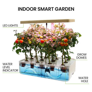 hydroponics setup + hydroponic set up