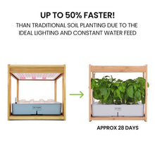 Load image into Gallery viewer, hydroponics setup + hydroponic set up + hydoponics