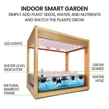 Load image into Gallery viewer, hydroponics vegetables + hydroponic farming + hydroponic plants