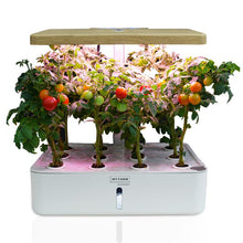 Load image into Gallery viewer, hydroponics + hydroponics system