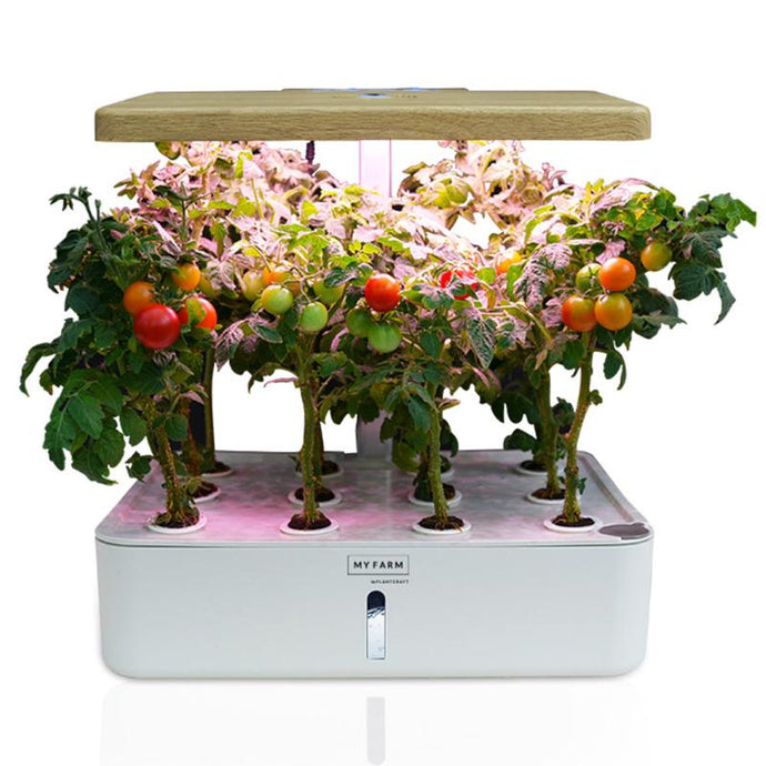 hydroponics + hydroponics system