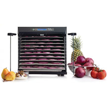 Load image into Gallery viewer, Excalibur 10-Tray Stainless Steel Food Dehydrator EXC10EL Semi-Commercial