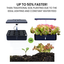 Load image into Gallery viewer, mini herb garden + small herb garden + kitchen herb planter