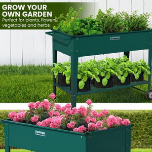 raise garden bed + garden beds raised + buy raised garden bed