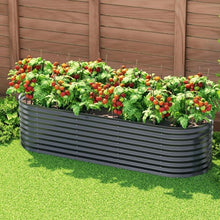 Load image into Gallery viewer, raised garden bed plants + raised vegetable gardens