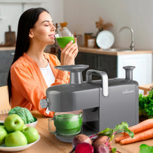 Load image into Gallery viewer, slow masticating juicer + best slow juicer