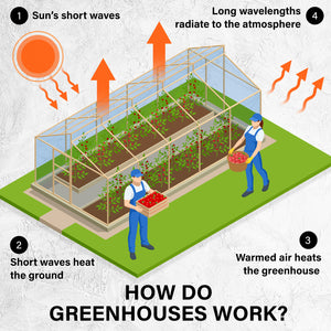 miniature greenhouse and portable greenhouse