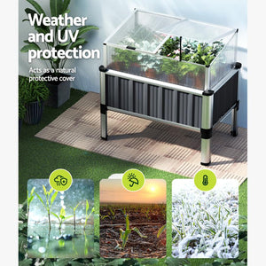 cold frames + cold frame + coldframe