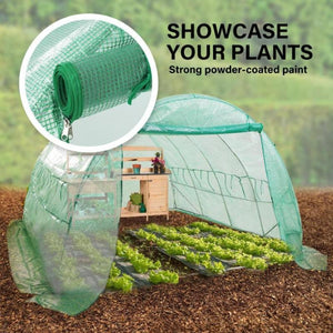 greenhouse plastic sheet + hothouse plastic