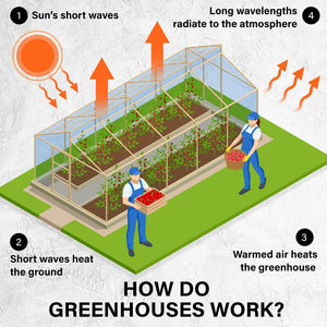 greenhouse replacement cover + greenhouse covers + greenhouse cover replacement