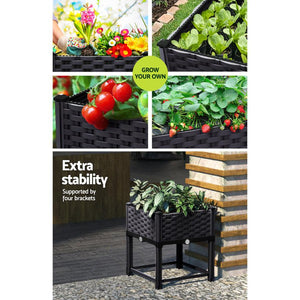 planterbox + box planter + planter box plants